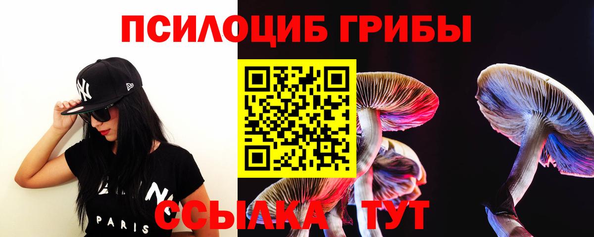Галлюциногенные грибы Psilocybine cubensis Топки